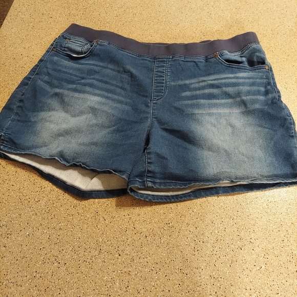 terra and sky jean shorts